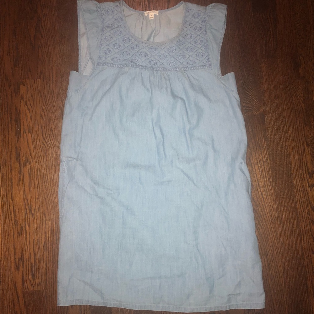 Soft Joie Chambray Dress